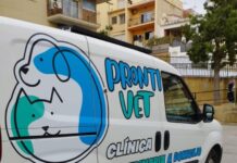 Prontivet Inaugura Servicio de Ambulancia Veterinaria 24 Horas en Barcelona y Girona Silvia Pastor