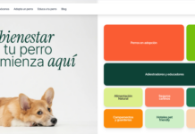 Innovadora Plataforma Hundwell Lucha Contra el Abandono Canino en España Hundwell: la plataforma de bienestar canino que busca acabar con el abandono de perros en España