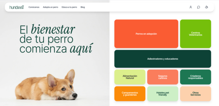 Innovadora Plataforma Hundwell Lucha Contra el Abandono Canino en España Hundwell: la plataforma de bienestar canino que busca acabar con el abandono de perros en España