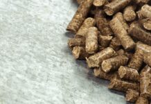 Optimización de la Alimentación Animal en Verano: Importancia del Pienso Ecológico según Bifeedoo Bifeedoo destaca la importancia del pienso ecológico para optimizar la alimentación animal durante el verano