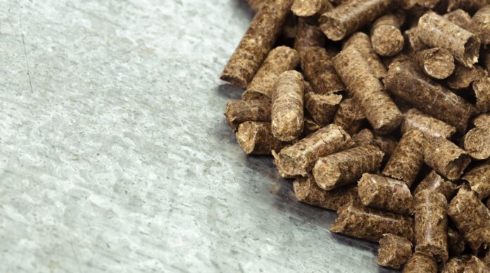 Optimización de la Alimentación Animal en Verano: Importancia del Pienso Bifeedoo destaca la importancia del pienso ecológico para optimizar la alimentación animal durante el verano