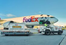 Los pandas gigantes Ping Ping y Fu Shuang llegan a Atlanta a bordo del “FedEx Panda Express”