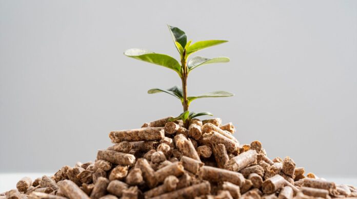 Beneficios del pienso ecológico
